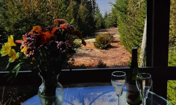 Gouldsboro Cabaña | Impresionantes vistas desde Tree Tops Cottage, cerca de Acadia Ntl. Sección Parque / Schoodic