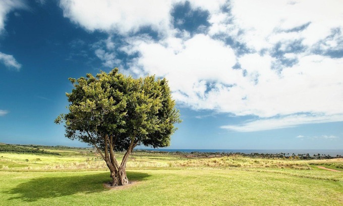 Eastlake Greens Casa | OFF HWY 125 IN CHULA VISTA’S EASTLAKE