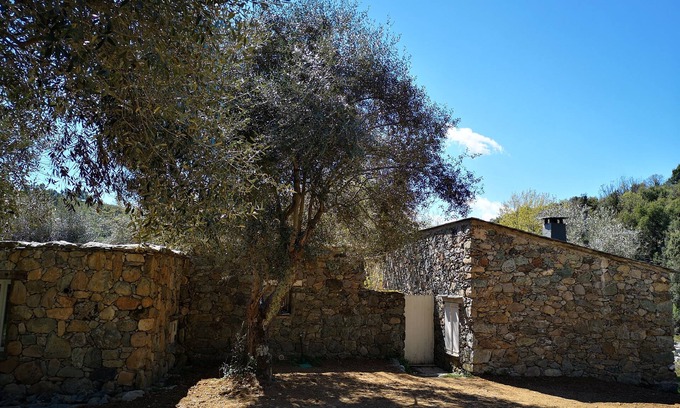 Santa-Lucia-di-Mercurio Casa | Antiguo aprisco de piedra completamente renovado a 2 pasos de Corte