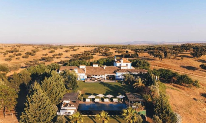 Moura Casa | Olive Room