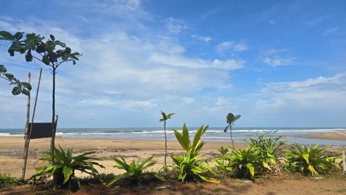 Hireguthi Hotel | Omisha Beach Stay - Just a 2 minute walk to the beach