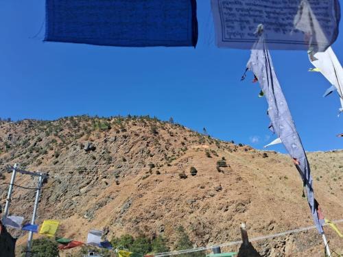 Dirang Casa | Orchid Valley Homestay