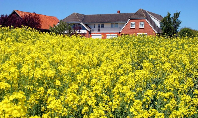 Suessau Apartamento | Ostsee mit Kind, Hund und Freunden