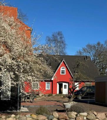 Born auf dem Darss Apartamento | Ostseedomizil "Ankerbuk", Ferienwohnung Kormoran