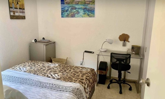 Coyoacán Apartamento | Descripción del apartamento
