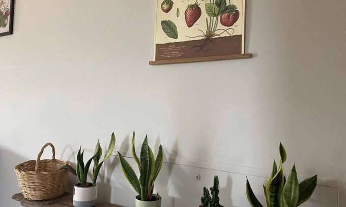 Marotta Apartamento | Our house is ideal for large families or groups of friends. With swimming pool.