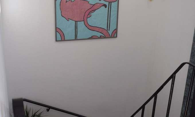 Marseillan Casa | Nuestro enólogo "Les Jasmins"
