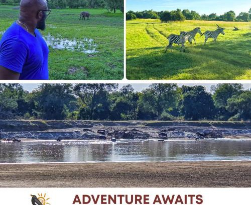Mfuwe Cabina | Oxpecker Safari Lodge