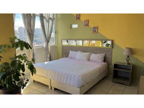 Huejotzingo Hotel | OYO Hotel Museo Carnaval