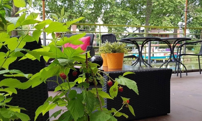Cote Pavee Cama Y Desayuno | Péniche Amboise Maison d'hôtes Toulouse