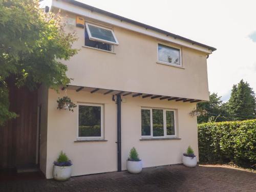 Burton Casa | Palm Court