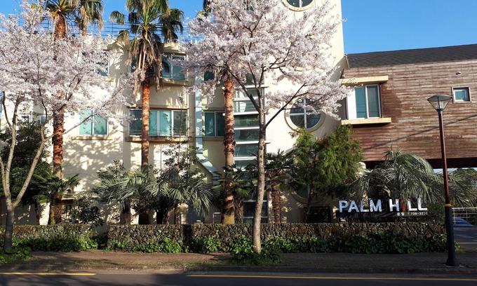 Jungmun Casa | Palm Hill Pension