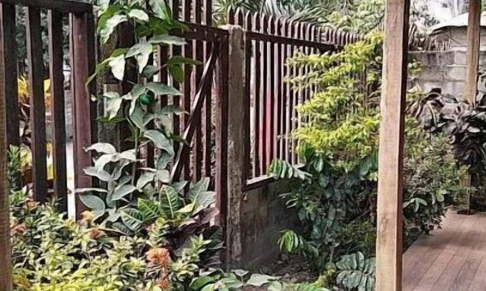 Palomino Cabina | Cabaña Palomino Club