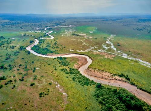 Serengeti National Park Otro | Pamoja Serengeti Luxury Camp