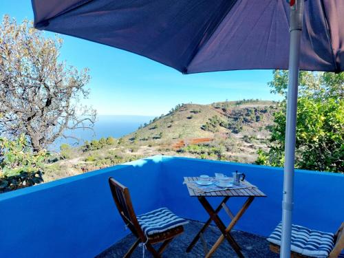 Santo Domingo Casa | Panchita