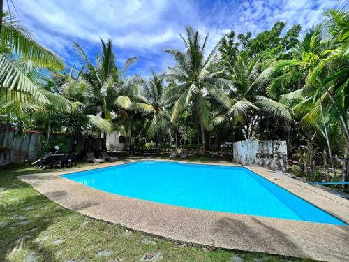 Totolan Apartamento | Panglao Cove Resort Main House