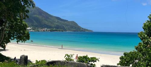 Mare Anglaise Apartamento | Panorama Guesthouse Apartments Beau Vallon Beach