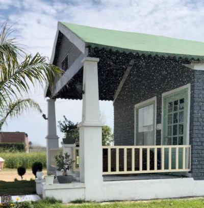 Jagadhri Casa | Panwar farms