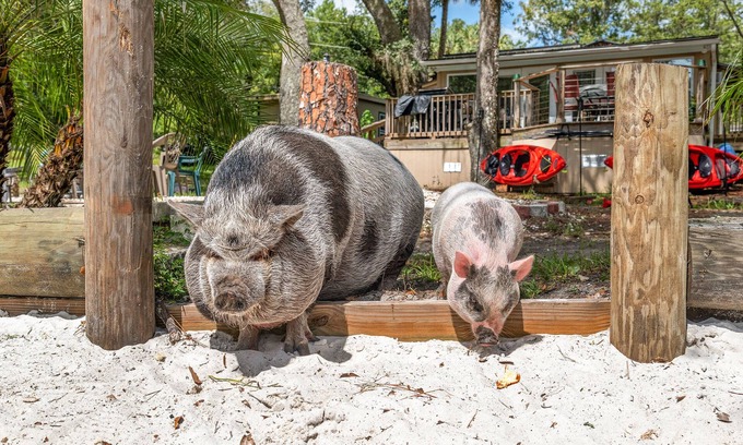 Fort McCoy Casa | Paradise at Point Pleasant Beach House