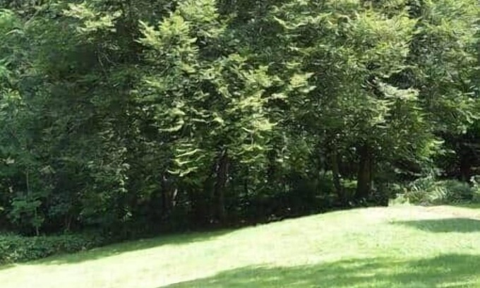 La Calamine Apartamento | Pause Nature 30N living in nature in peace and quiet