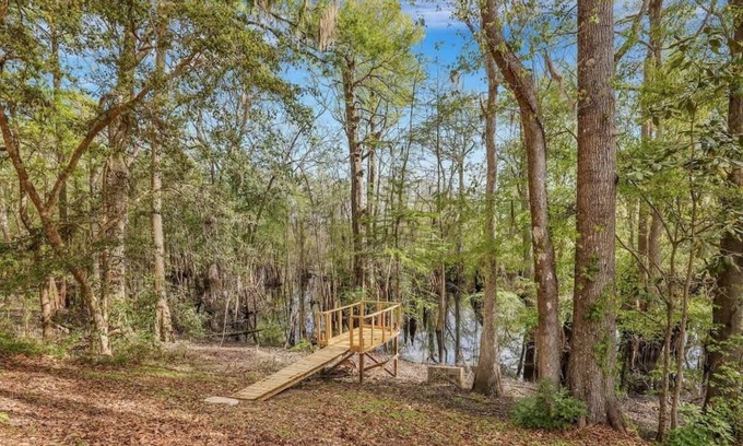 Pineland Cabina | Peaceful Cabin @ Ebenezer Creek