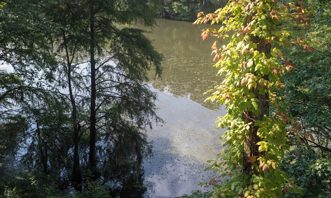 Santee Condominio | Peaceful Condo on Lake Marion in Santee, SC. Time to play golf and go fishing!