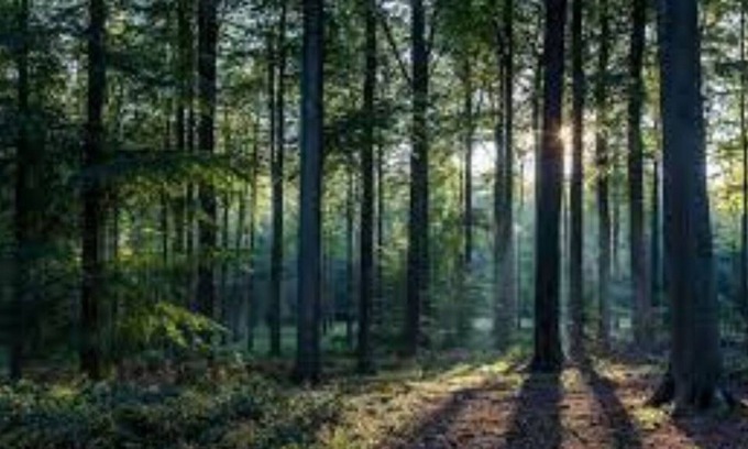 Sauble Beach Casa | Peaceful House