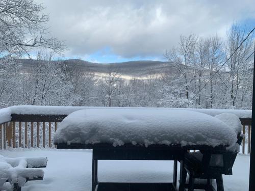 Lanesville Casa | Peaceful Peaks Cabin