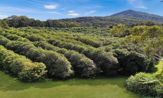 Valla Casa | Peaceful retreat with scenic views and serenity