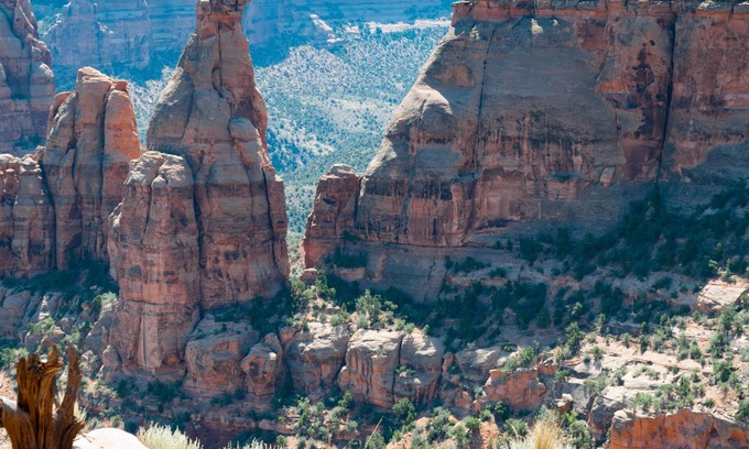 Fruita Casa | Peach House: Hermoso centro de 3 habitaciones / 1. 5 Baños, Patio, Patio Cercado, Mascotas Welcm