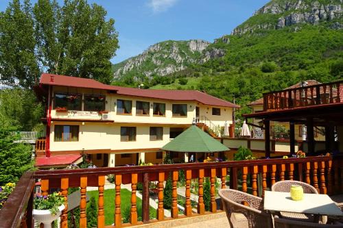 Baile Herculane Casa | Pension Cuibul Viselor
