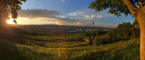 Mainz-Bingen Casa | Pension Forstgut Waldeck