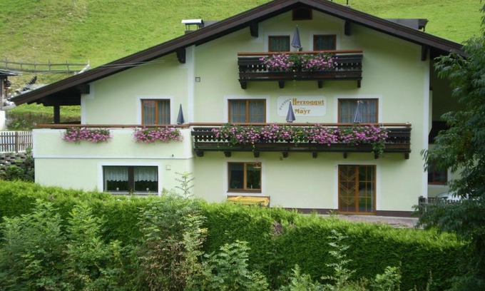 Zell am See Cama Y Desayuno | Pension Herzoggut