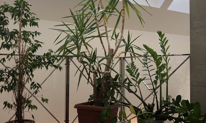 Rychnov nad Kneznou Casa | Penzion U Zvonu