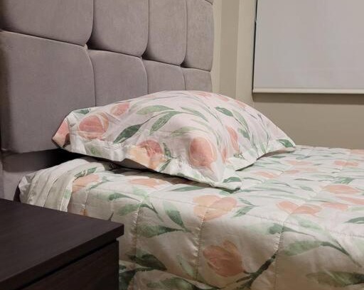 Santiago de Surco Apartamento | Pequeño departamento en Lima