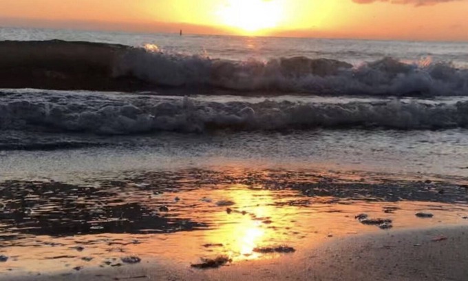 Seminole Apartamento | Pesky Pelican Studio 3miles to the beach