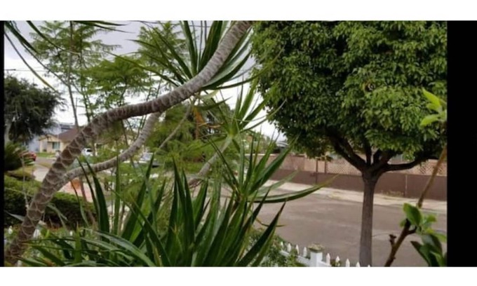 North Clairemont Apartamento | Pet Friendly 2 bedroom home with gated front yard.