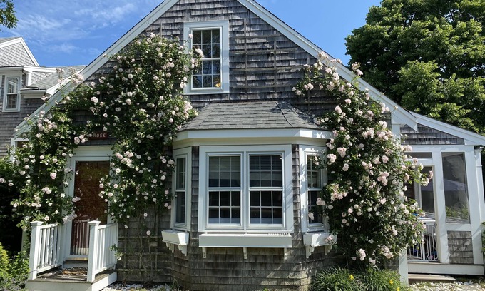 Nantucket Town Cabaña | Pet friendly cottage in town on quiet paved street- AC, Wifi, Laundry, Parking