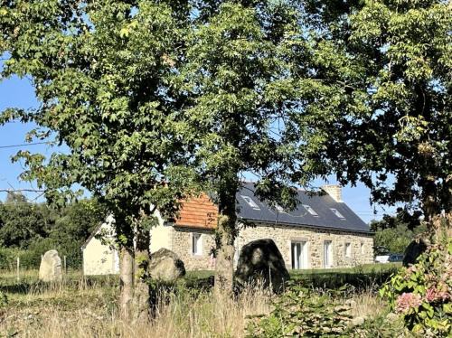 Plouec-du-Trieux Apartamento | Petite Maison avec Menhirs et Moutons Ouessant