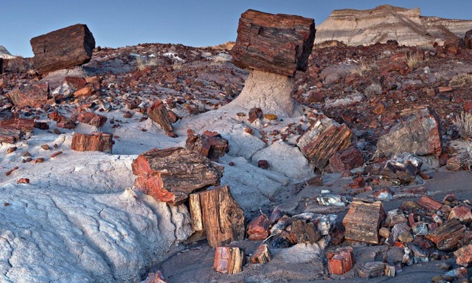 Holbrook Alquiler De RV | Petrified National Forest/Meteor Crater near Holbrook,AZ