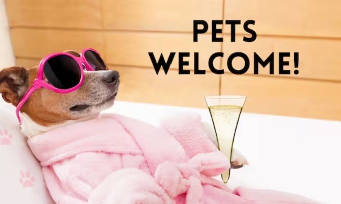 Terrell Heights Casa | Pets Ok! Close to Pearl-Ft Sam-Riverwalk-Alamo