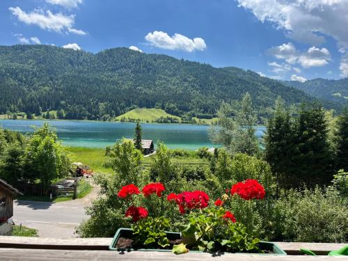 Neusach Apartamento | Pferdehof Rupitsch - Haus Carina