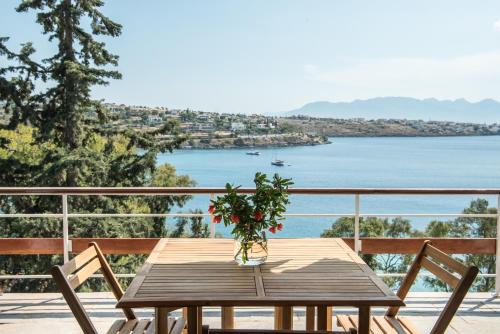 Kontos Apartamento | Phaedrus Living Sea View Villa Aegina