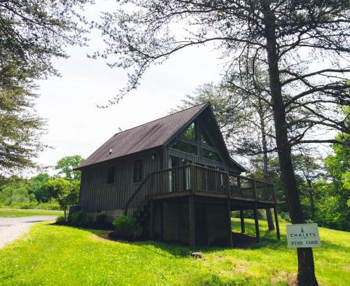 Logan Casa | Pine Cone - by The Chalets