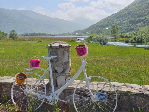 Plav Otro | Plav Lake Camping