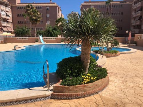 Santa Pola Apartamento | Playa Lisa Studio