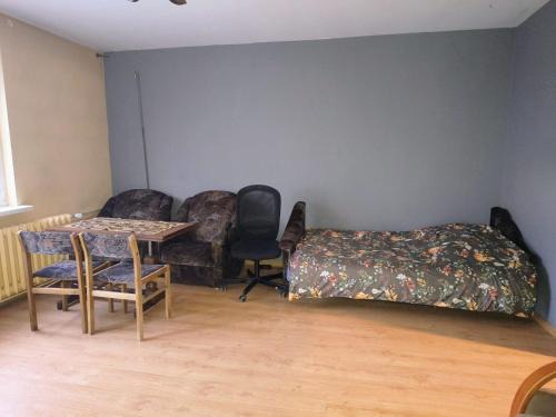 Konin Apartamento | Pleasant apartament im center low price