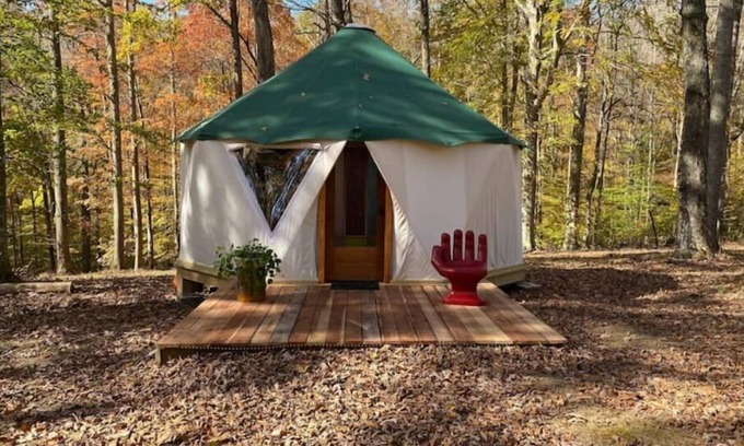 Monticello Casa | Plush Yome Tucked in the Woods