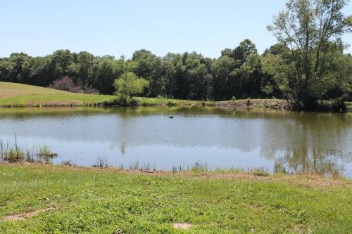 Thompsonville Cabina | Pond View Loft - Screen Porch, Fire Pit & Fishing