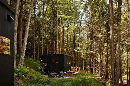 Suches Otro | Postcard Cabins Chattahoochee, Outdoor Collection by Marriott Bonvoy